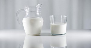 La leche es un alimento muy pobre en ácidos grasos omega-3. Hasta el momento, la mayoría de los intentos para enriquecer la leche en omega-3 de forma natural se basaban en un aumento de la cantidad de este tipo de ácidos grasos en la dieta del ganado. / CSIC.