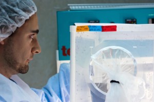 Un investigador mantiene la colonia de mosquitos del insectario del Centro de Investigación de Enfermedades de Países en Desarrollo de Tres Cantos. / GSK