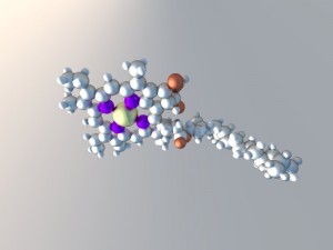 Estructura química de la molécula de clorofila / Wikipedia Commons
