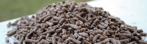 Pellets de biomasa. / Kapilbutani (WIKIMEDIA COMMONS) 