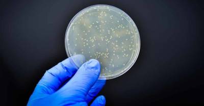 Batalla de precisión contra las diferentes cepas de la LISTERIOSIS