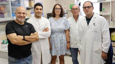 Vencen la resistencia del melanoma a la inmunoterapia