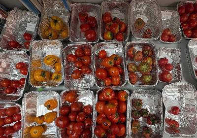 En busca de viejos tomates para los nuevos tiempos